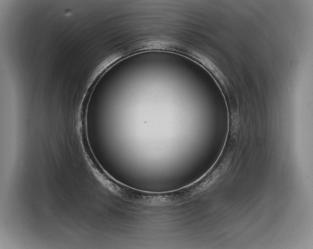 X0000116661042200912141316