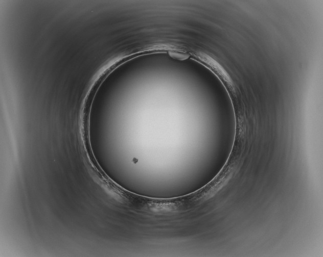 X0000116661043200912141316