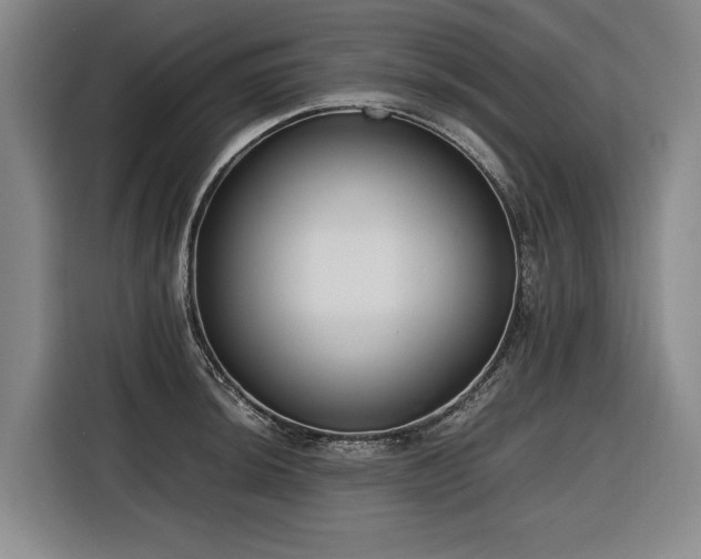 X0000116661044200912141316