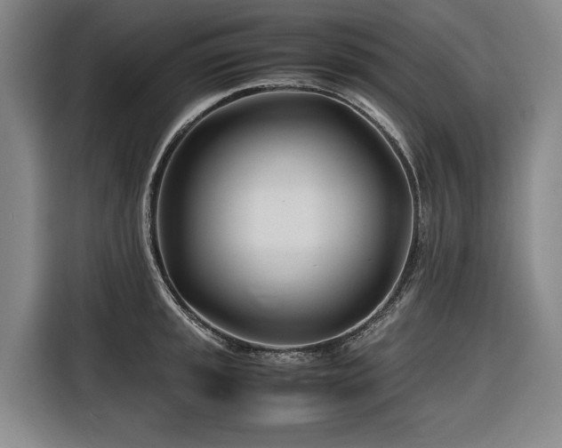 X0000116661045200912141316