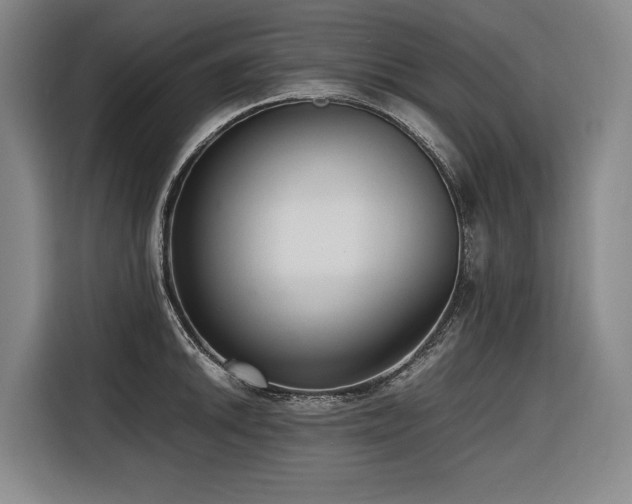 X0000116661046200912141316