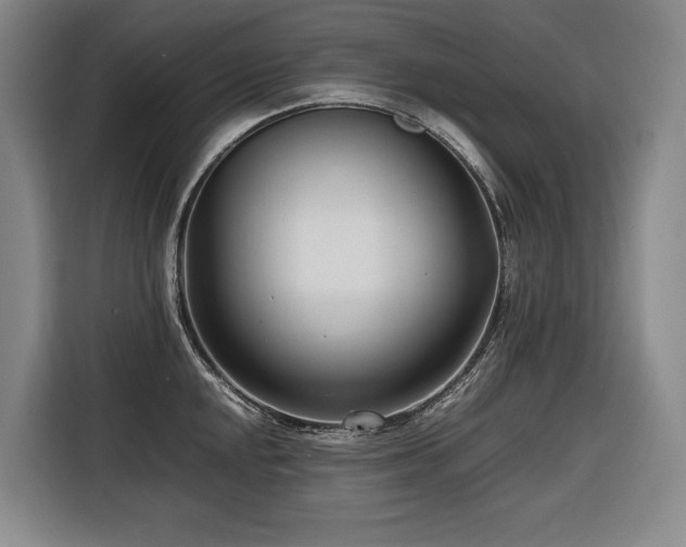 X0000116661048200912141316