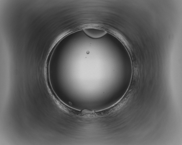 X0000116661050200912141316