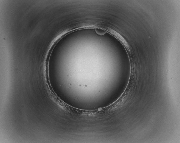 X0000116661051200912141316