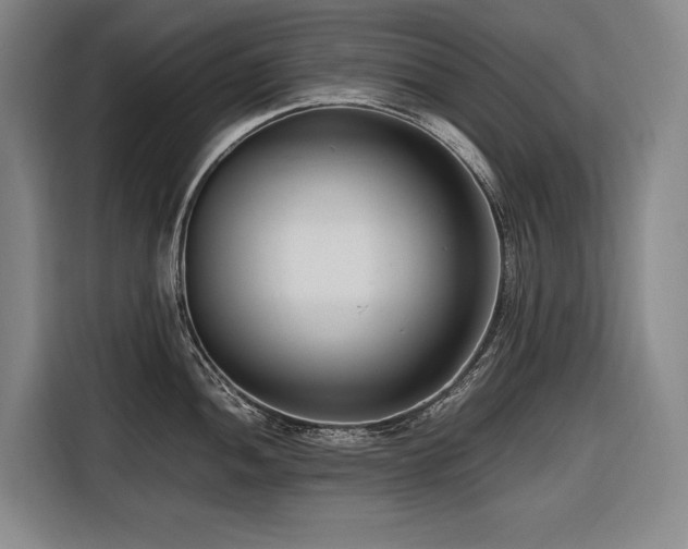 X0000116661052200912141317