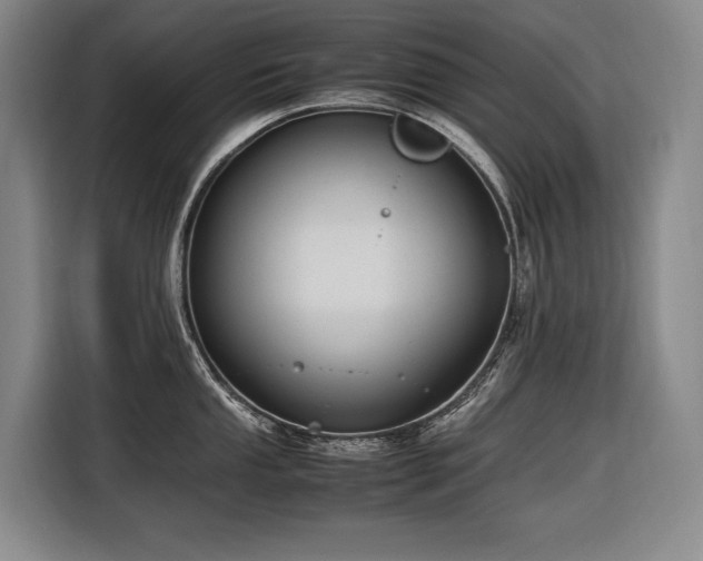 X0000116661053200912141317