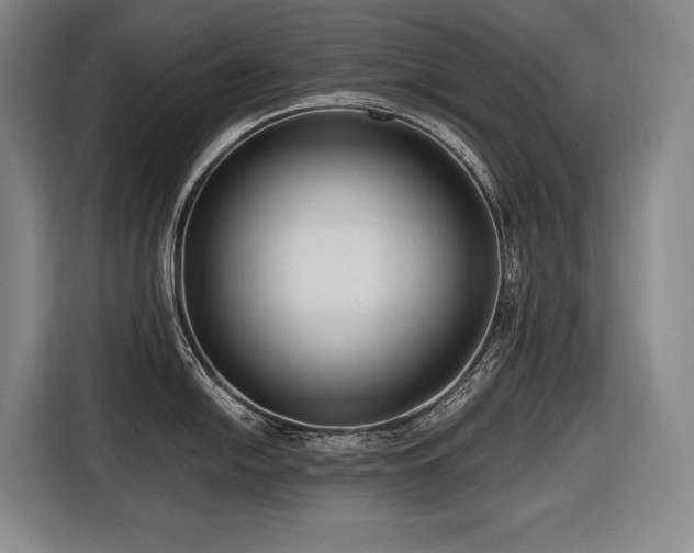 X0000116661054200912141317