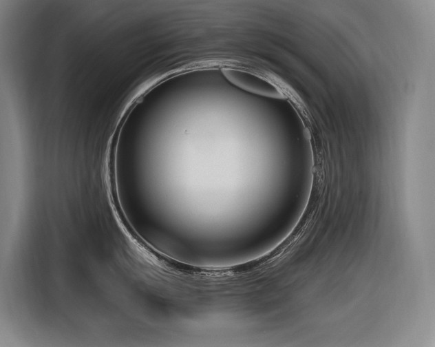 X0000116661055200912141317