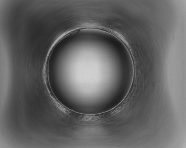 X0000116661056200912141317