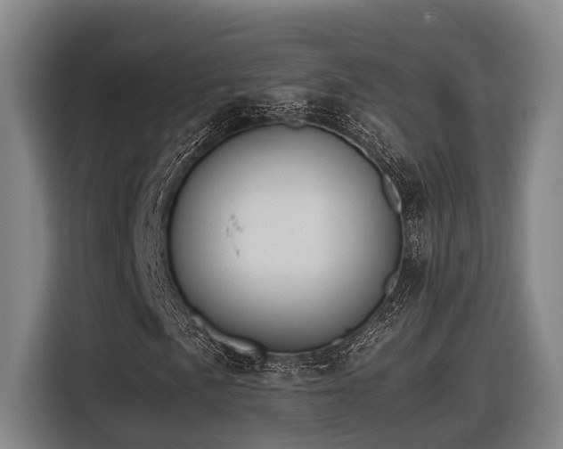 X0000116661057200912141316