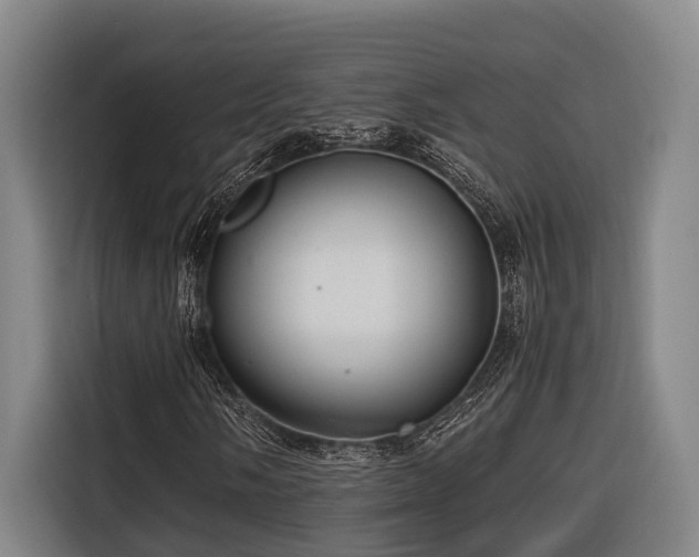 X0000116661058200912141316