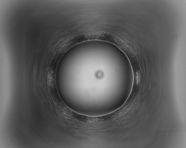 X0000116661059200912141316