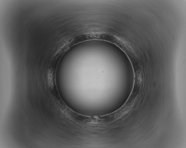 X0000116661060200912141316