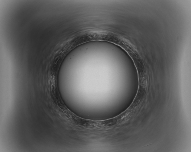 X0000116661061200912141316