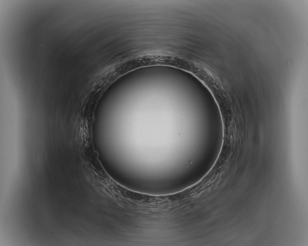 X0000116661062200912141316