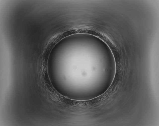 X0000116661063200912141316