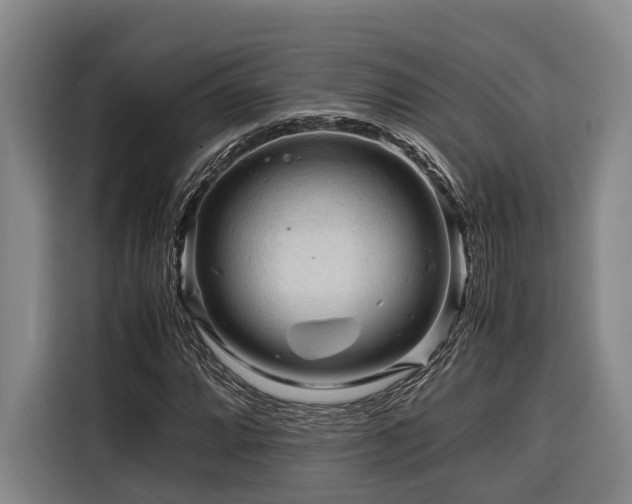 X0000116661064200912141316