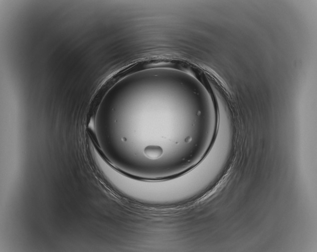 X0000116661065200912141316