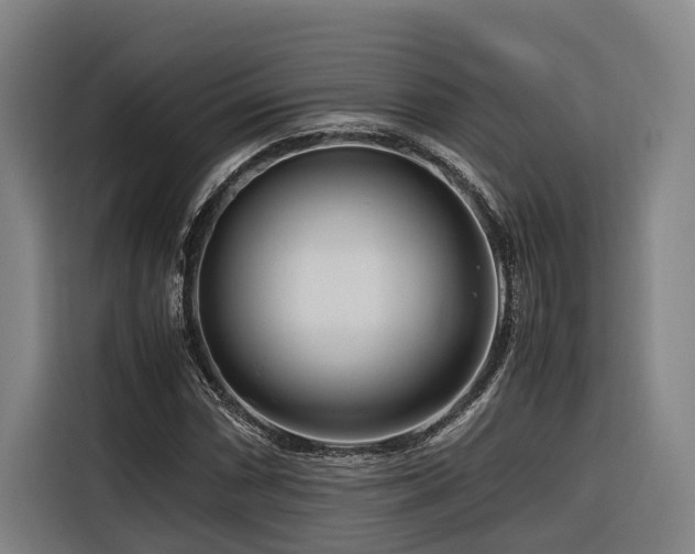 X0000116661066200912141316