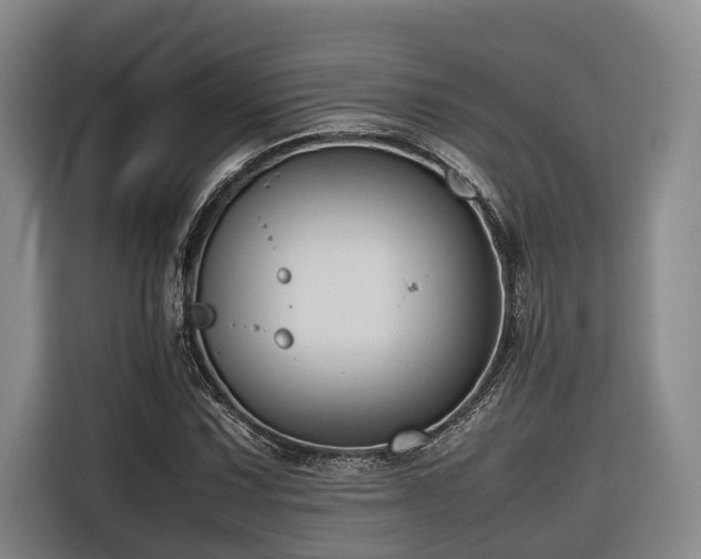 X0000116661067200912141316