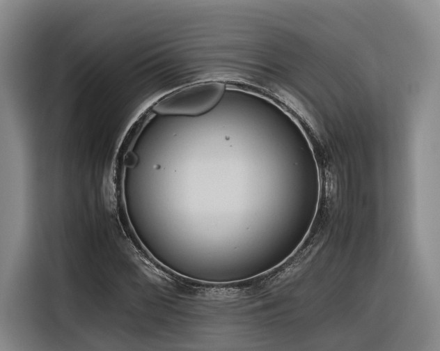 X0000116661068200912141316