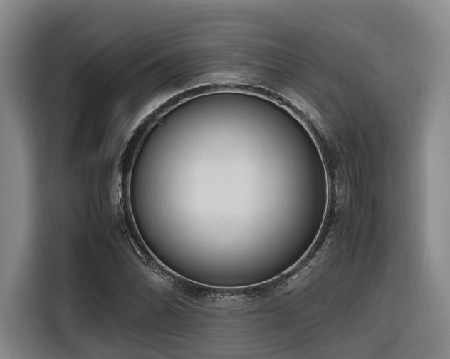 X0000116661070200912141316