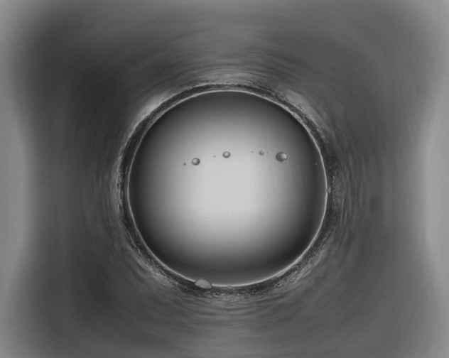 X0000116661071200912141316