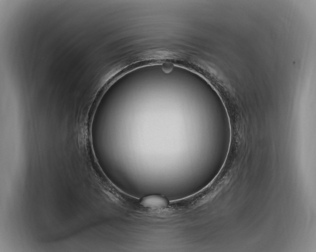 X0000116661073200912141316