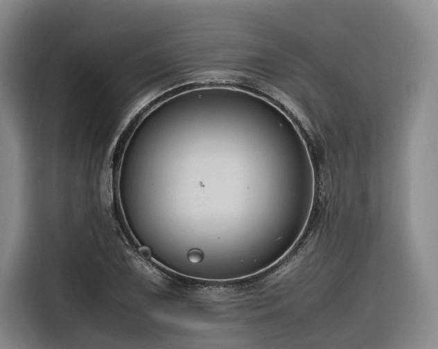 X0000116661075200912141316