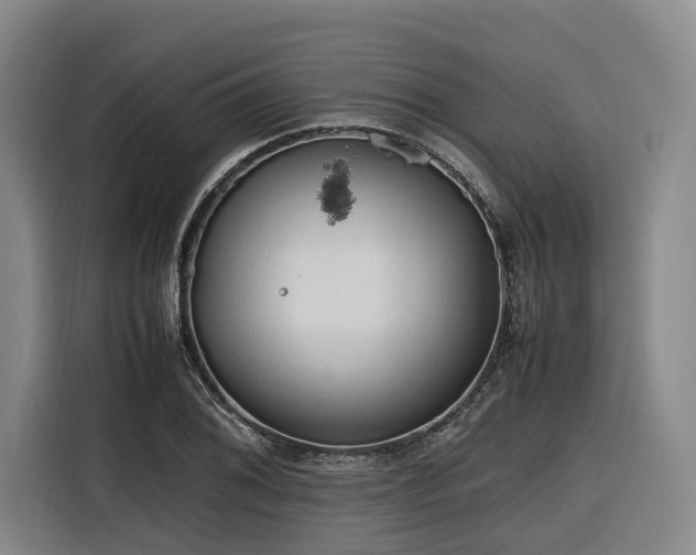 X0000116661076200912141316