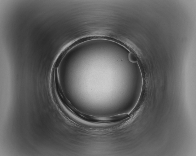 X0000116661077200912141316