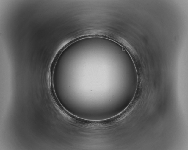 X0000116661079200912141316