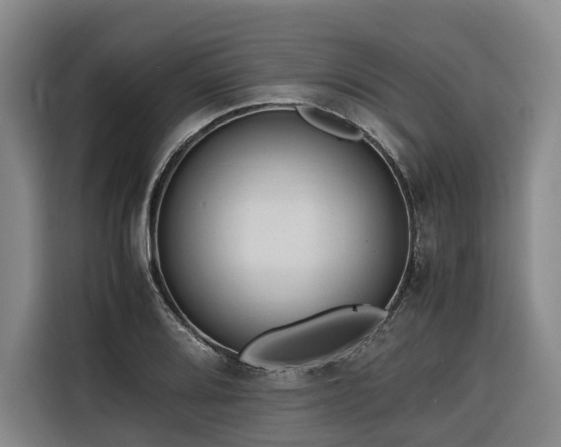 X0000116661080200912141316