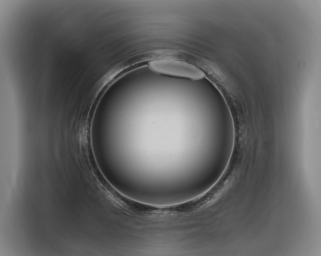 X0000116661081200912141316