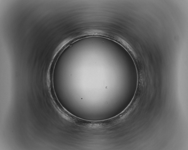 X0000116661082200912141316