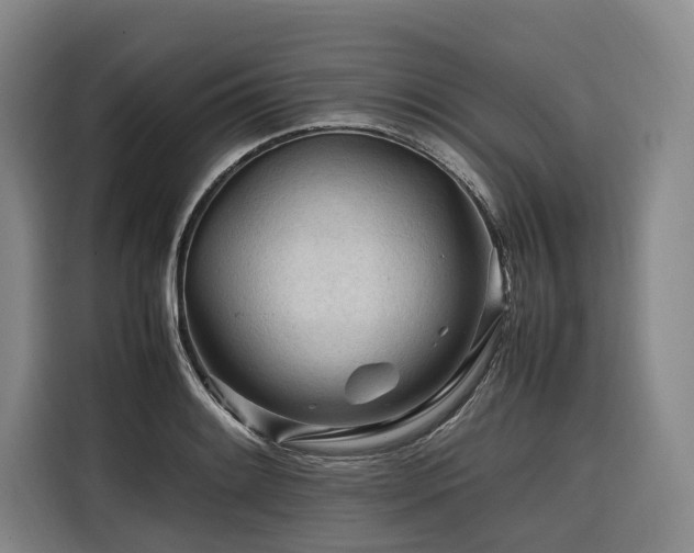 X0000116661084200912141316