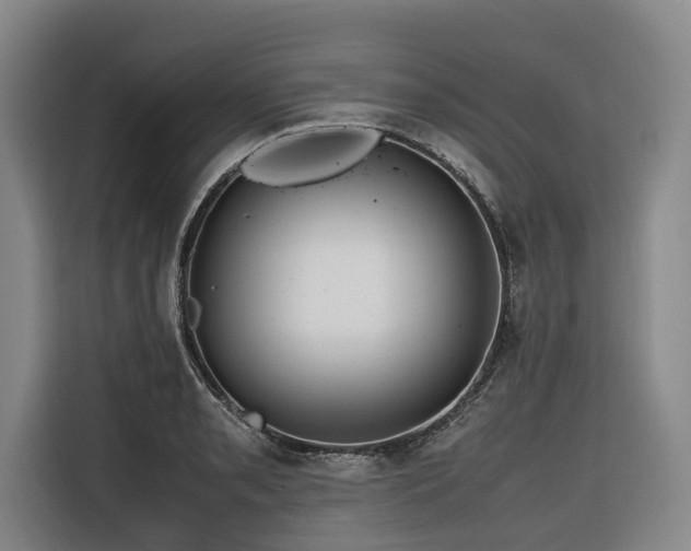 X0000116661085200912141316