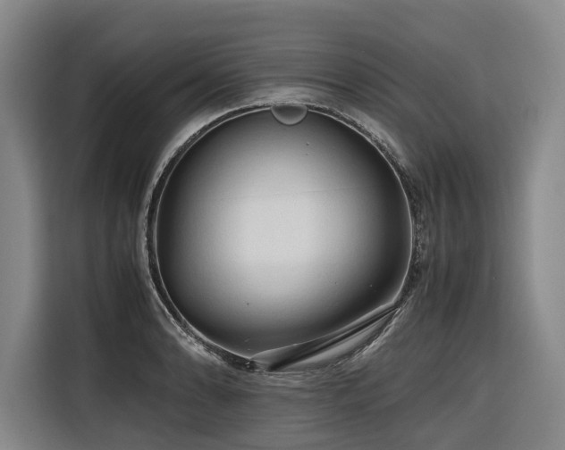 X0000116661086200912141316