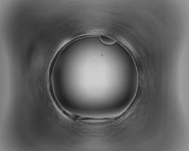 X0000116661087200912141316