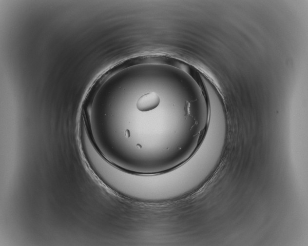 X0000116661088200912141316