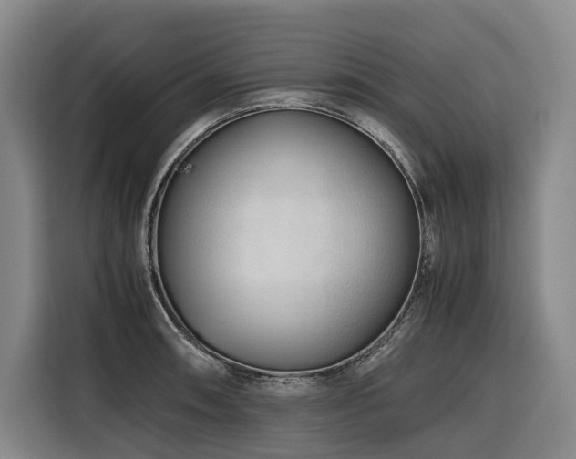 X0000116661090200912141316