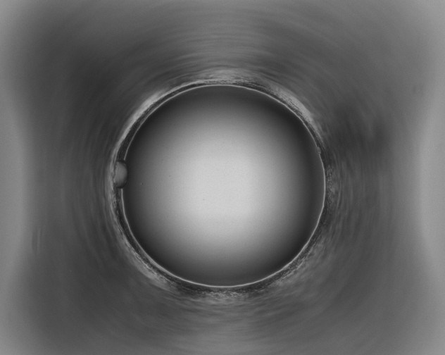 X0000116661091200912141315