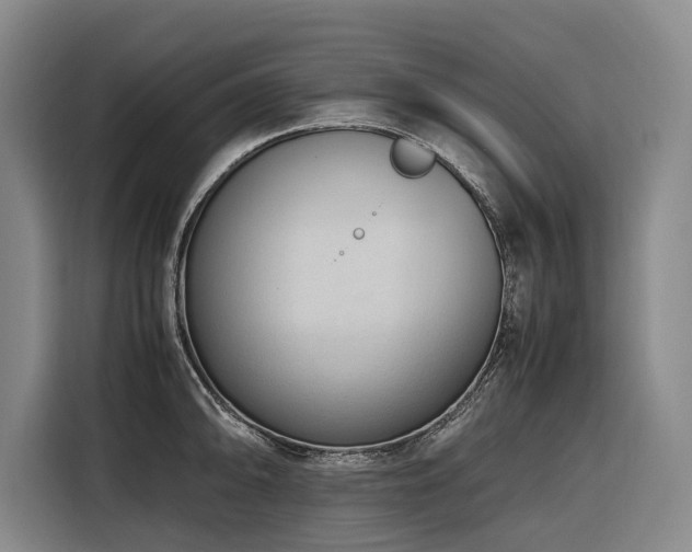 X0000116661094200912141315