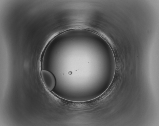 X0000116661095200912141315