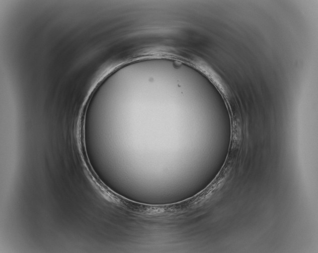 X0000116661098200912141315