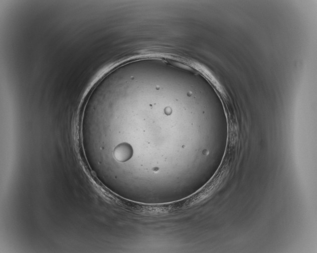 X0000116661101200912141315