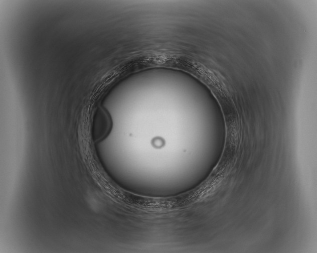 X0000116661105200912141315