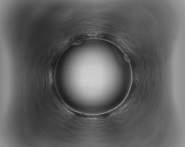 X0000116661106200912141315