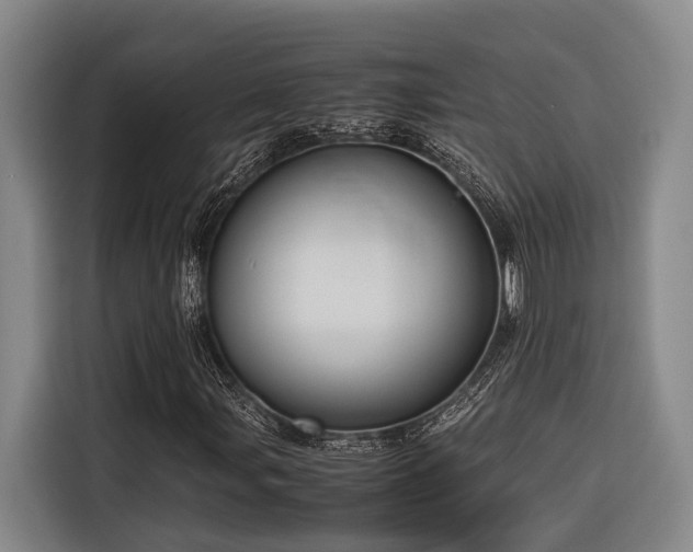 X0000116661107200912141315