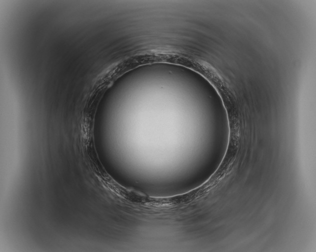 X0000116661110200912141315